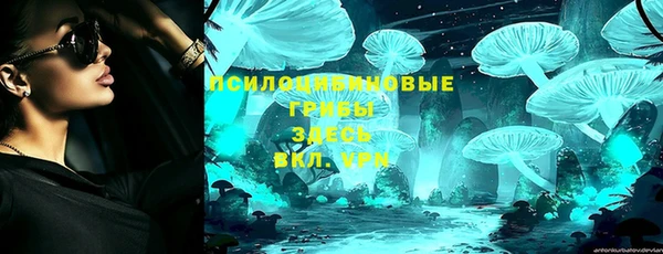 гашик Алзамай
